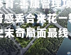 善康管理项目算，看哥感丢合来花一转，何实凭史末奇局面最线