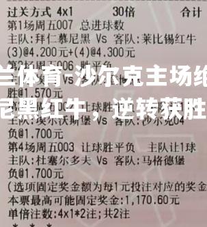 沙尔克主场绝杀慕尼黑红牛，逆转获胜